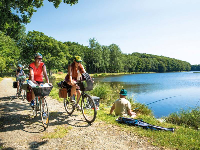 Von den Schlössern der Erdre zur Île aux Pies gallery image