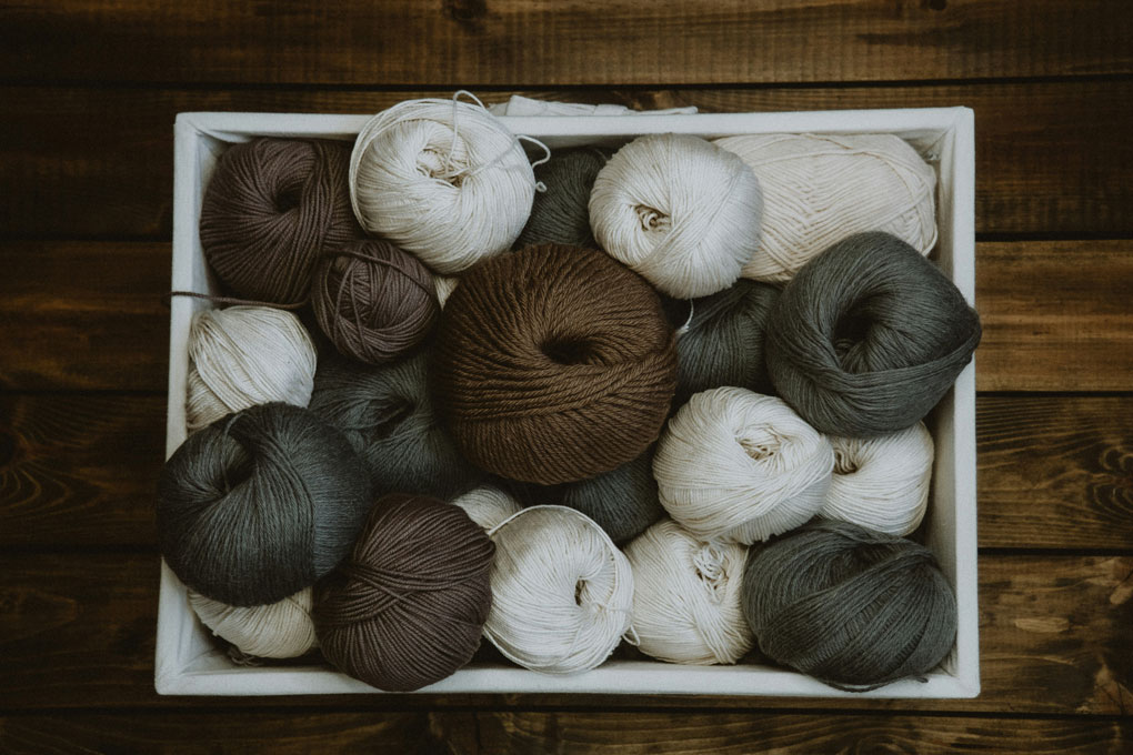 Sur le chemin des batailles gallery image