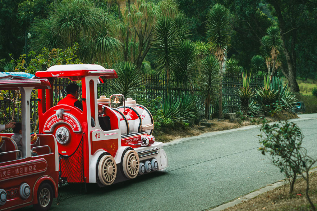 Sonne, Meer und Zikaden gallery image