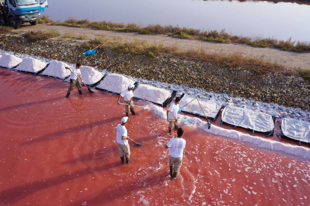 Durch die Salins du Midi spazieren