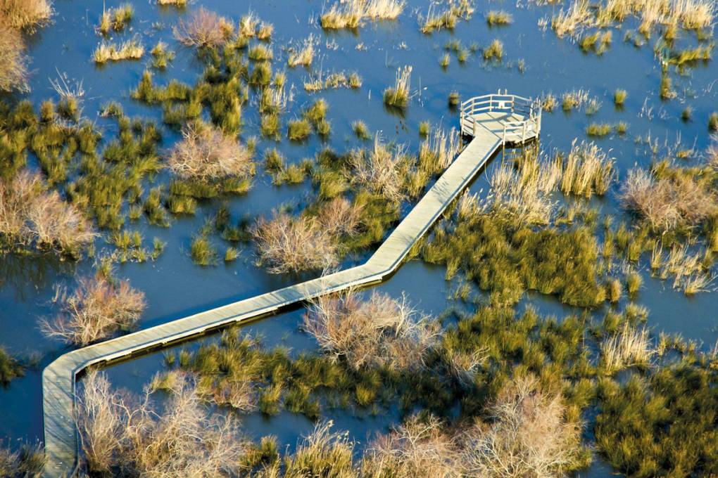 Das Naturschutzgebiet Scamandre entdecken