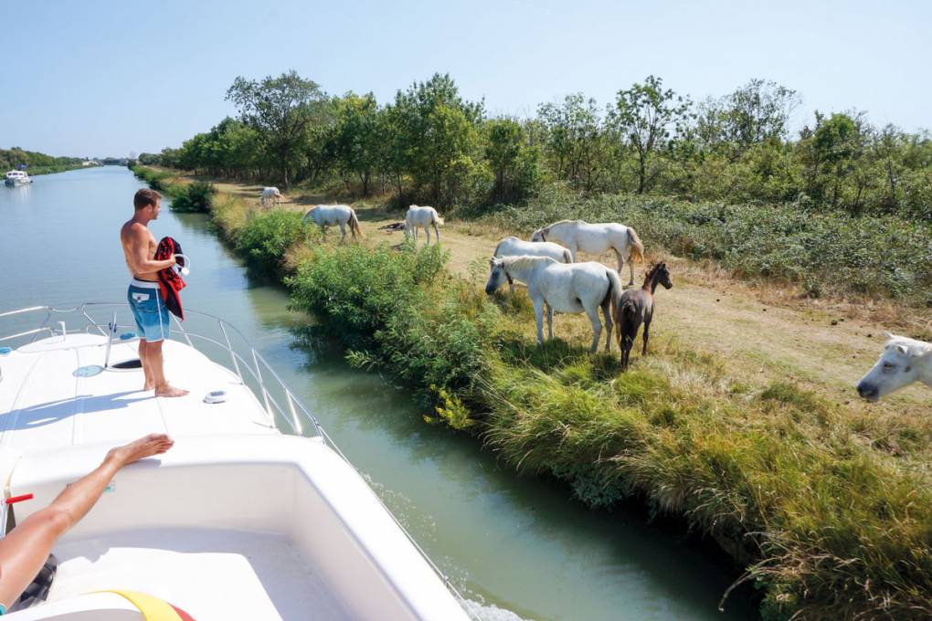 Mit dem Boot entlang des Rhône-Sète-Kanals gallery image