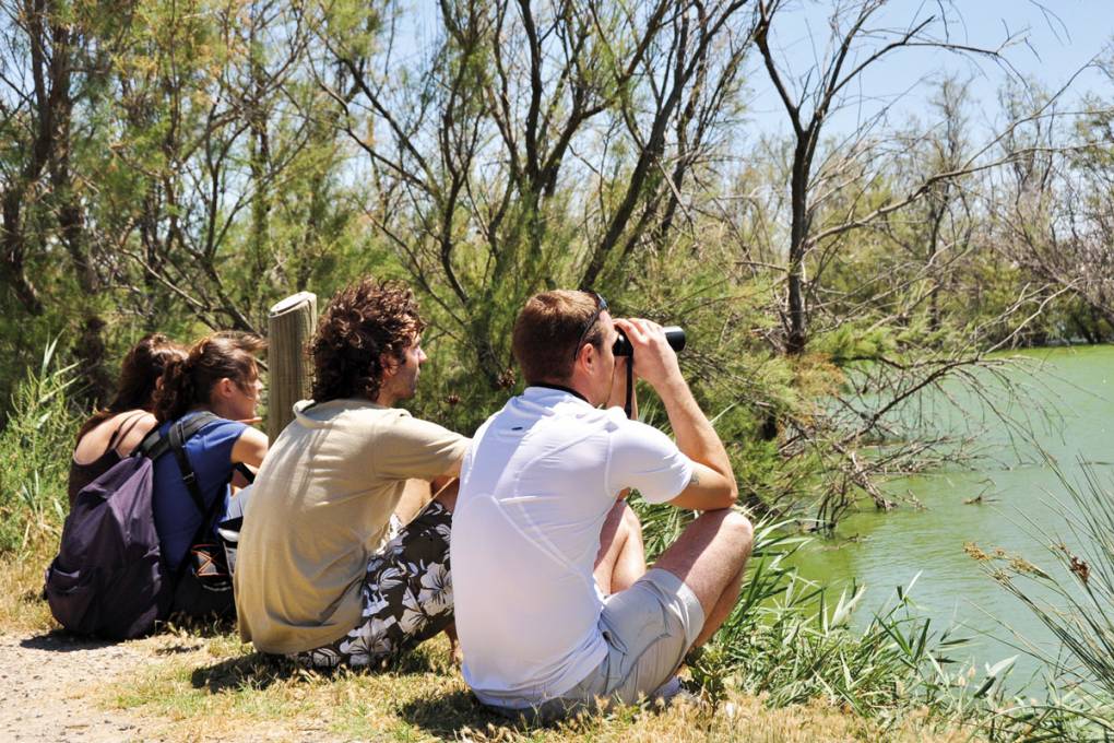 Ausflug zwischen Strand und Kulturerbe gallery image