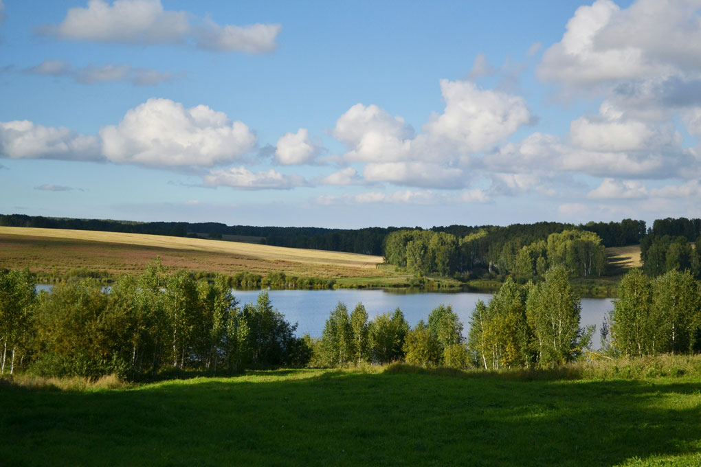 Gastronomie und Meeresbad gallery image