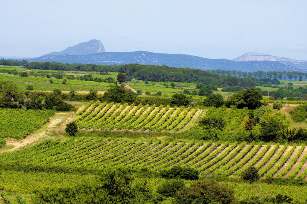 Dörfer, Weinberge und Natur des Midi gallery image