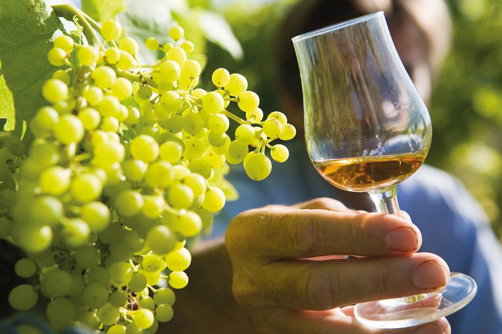 Cognac, chocolaterie et patrimoine gallery image