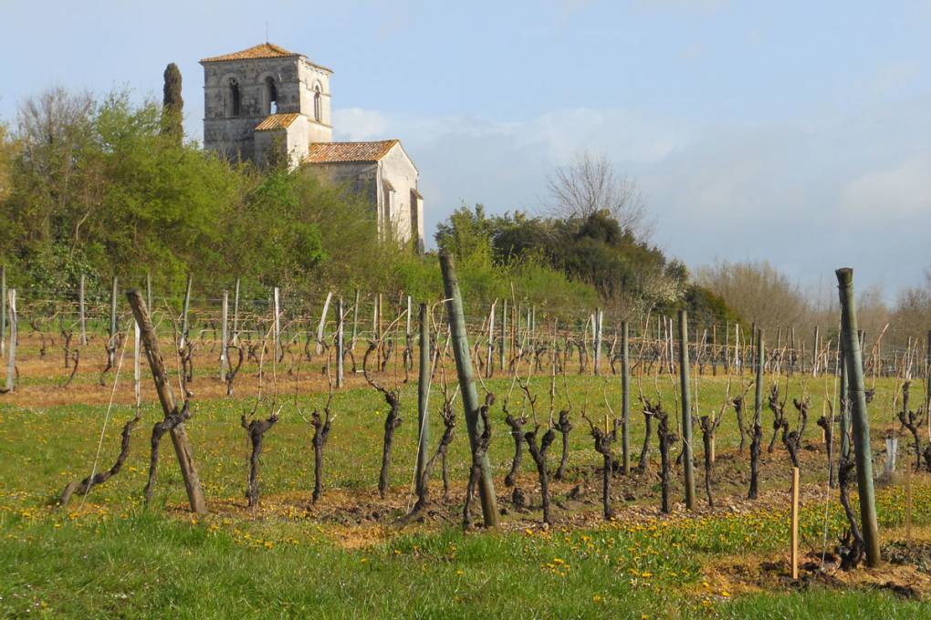 Histoire, BD et distilleries en Charente gallery image