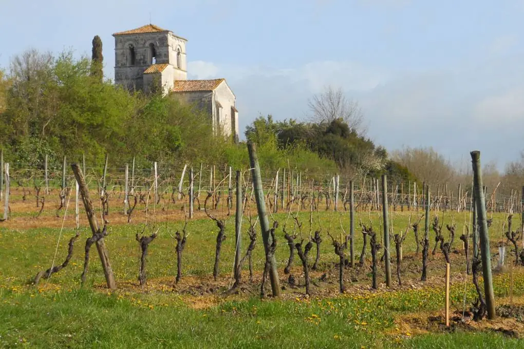 Histoire, BD et distilleries en Charente gallery image