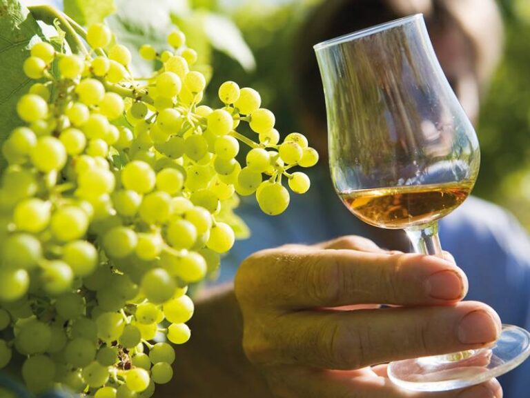 Histoire, BD et distilleries en Charente