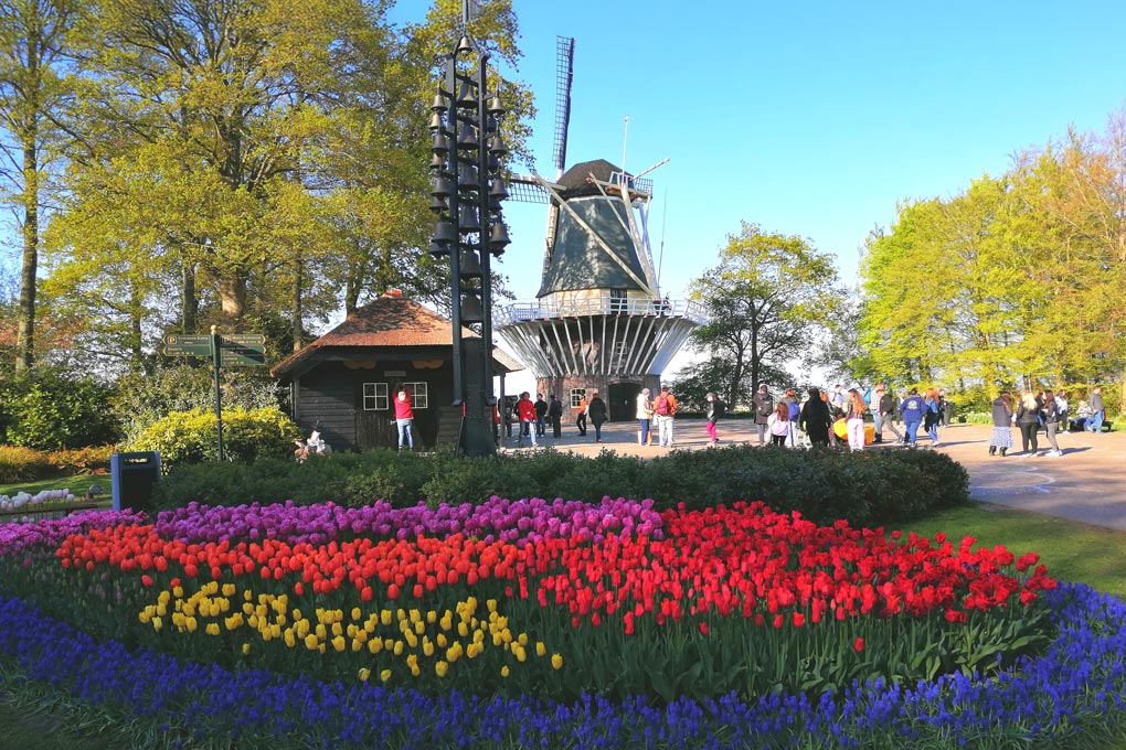 Tulpen, Städte und ruhige Wasserwege