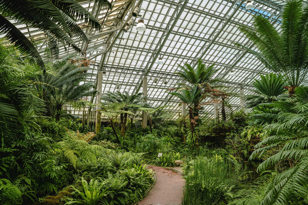 Leiden Botanical Gardens