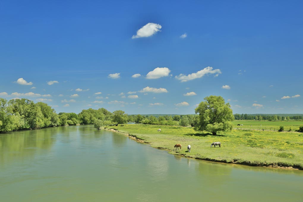 Le Chesne, entre Canal et Nature