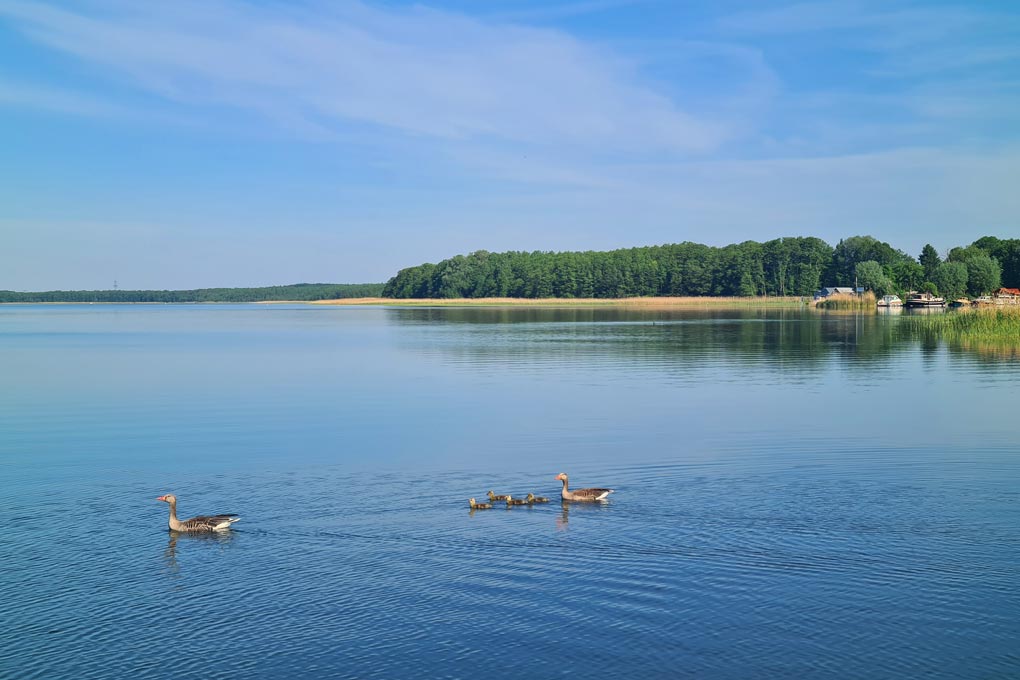 Zwischen Seen und Räucherfisch – Natur in ihrer schönsten Form