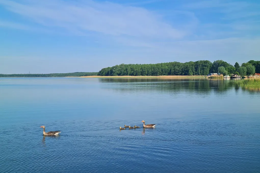Between lakes and smoked fish – nature at its peak