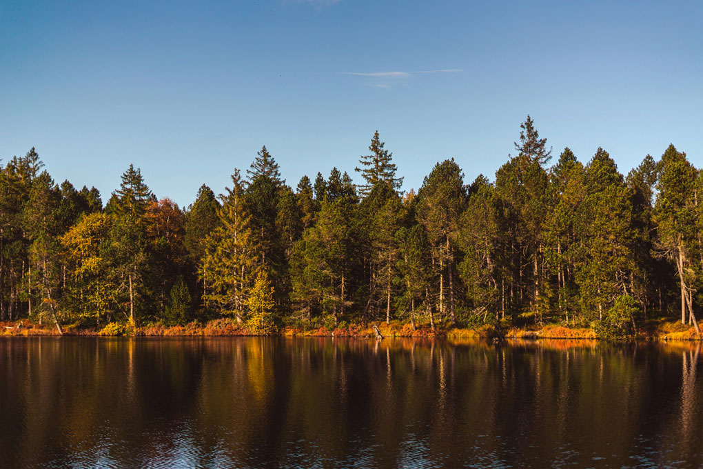 Natur und Geist der Aufklärung gallery image