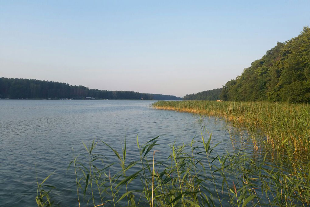 Großer Pälitzsee