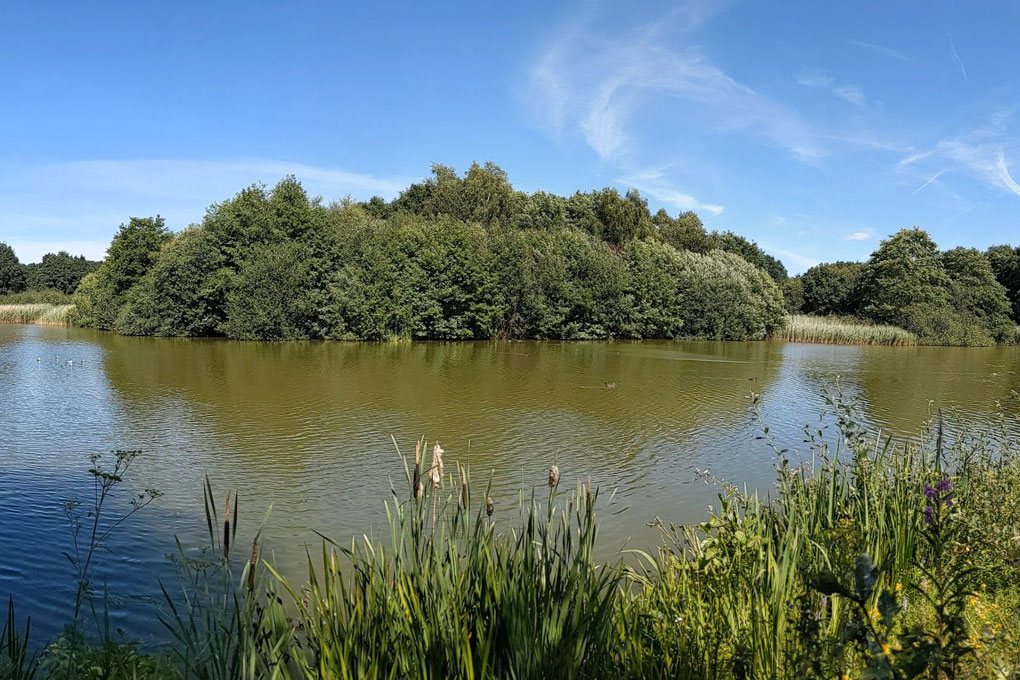 Stadt und Seen von Lindow