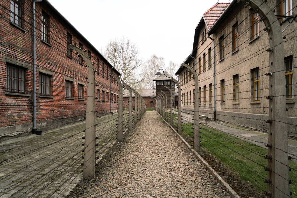 Im Land der Seeadler gallery image