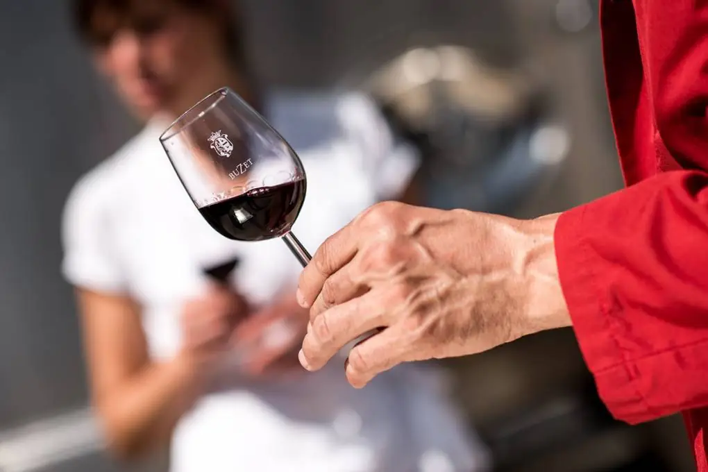 Buzet-sur-Baïse – Fahrt im Herzen des Weinbaugebiets
