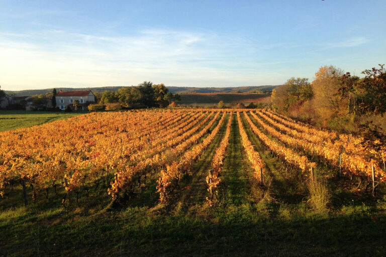 Les vignobles du Lot