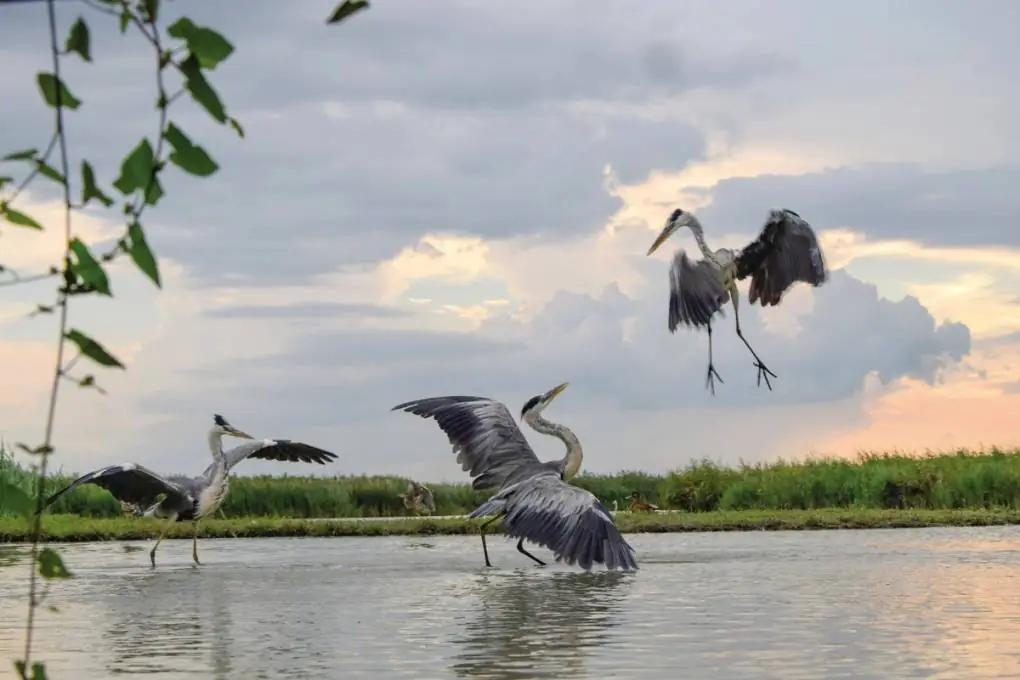 Den Hortobágy-Nationalpark erkunden