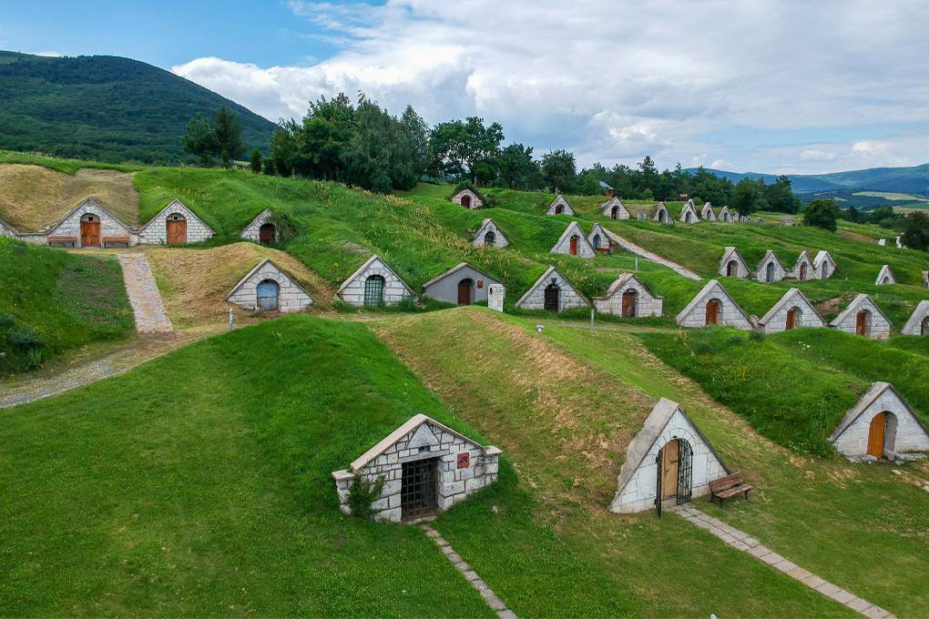 Discover the treasures of Tokaj