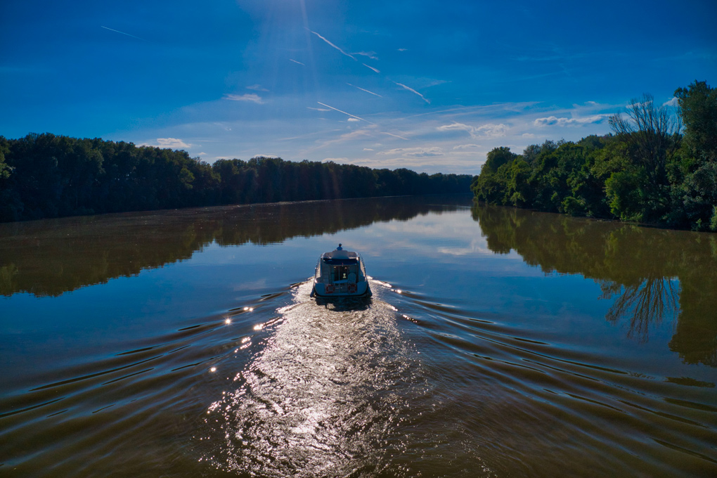 Observe unspoiled nature