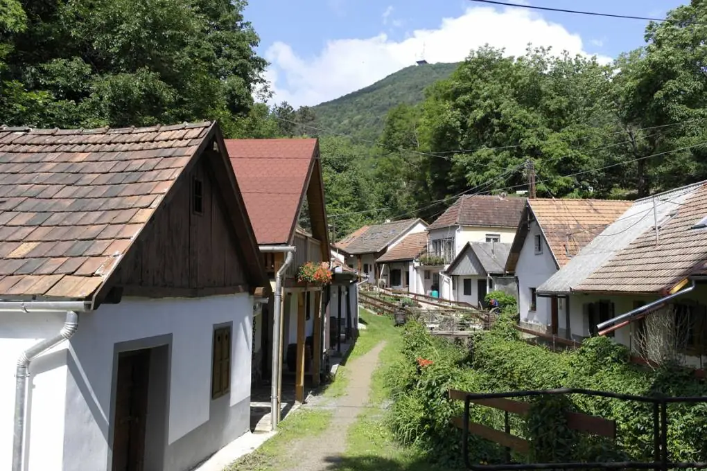 Reise auf Bodrog und Tisza gallery image