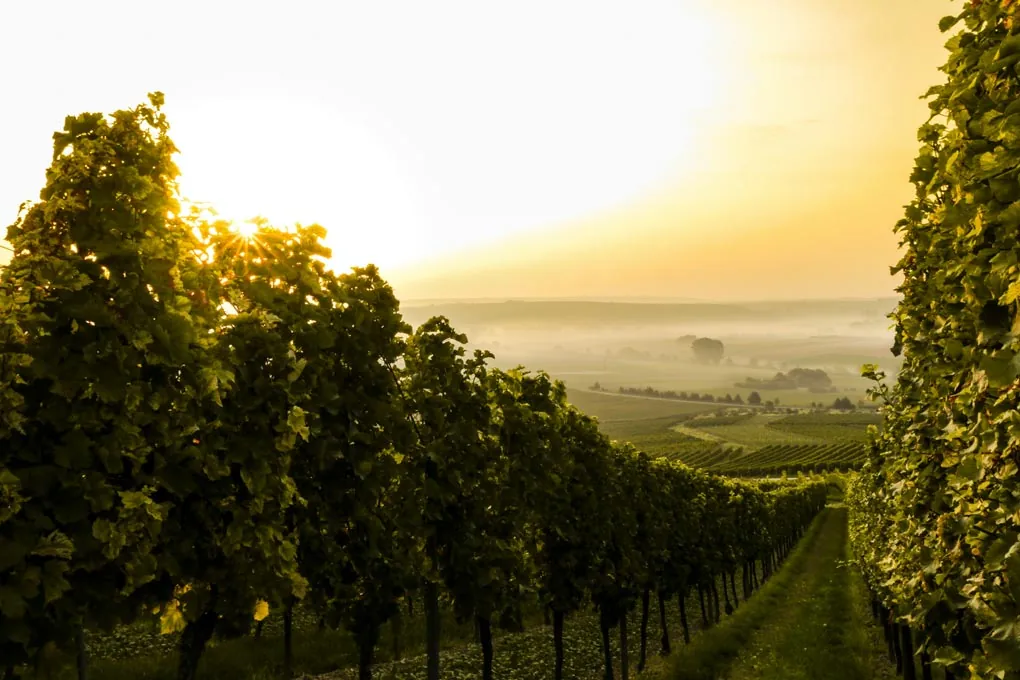 Châteaux, vignobles et romance fluviale