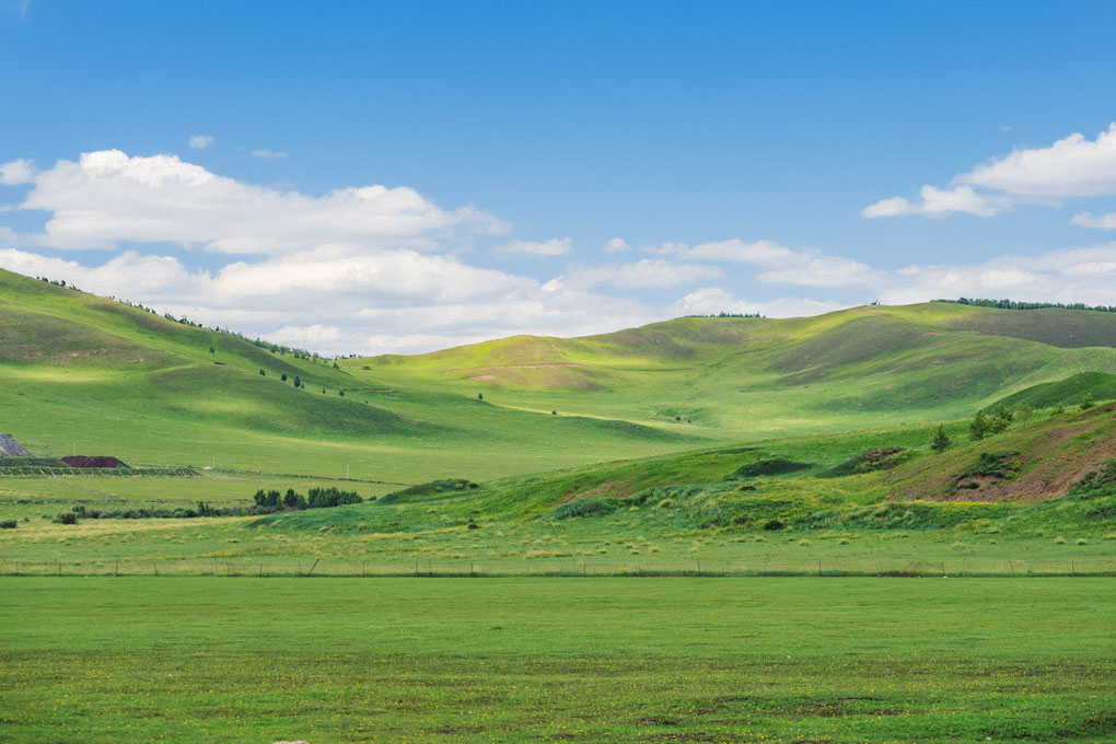 Castles and Vineyards of the Saale gallery image