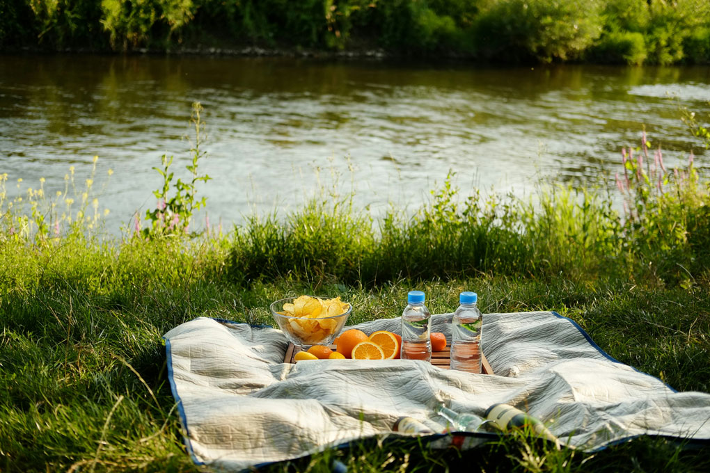 Meadows of the Saale near Calbe