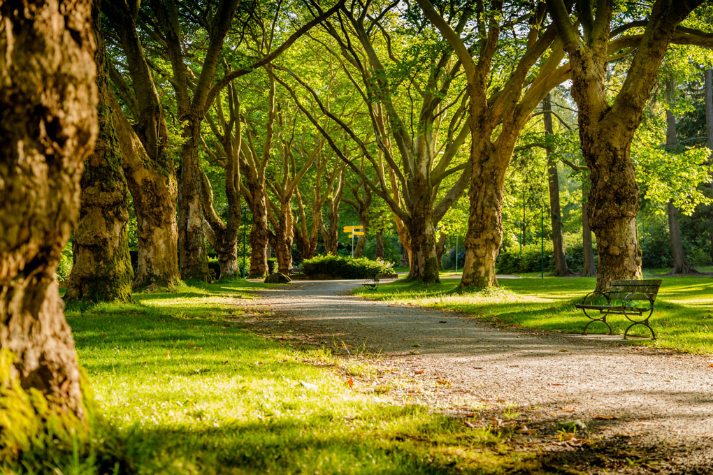 Écluses et parc de Calbe