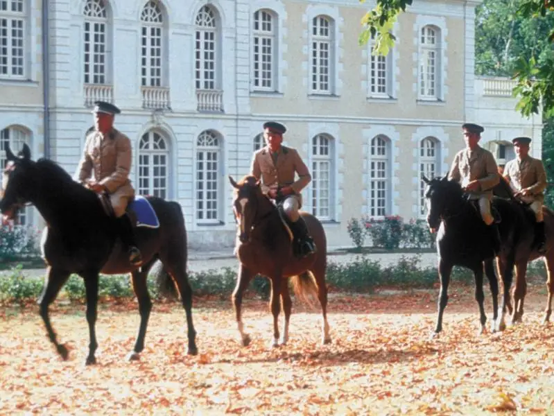 Cavalry and Medieval Town gallery image
