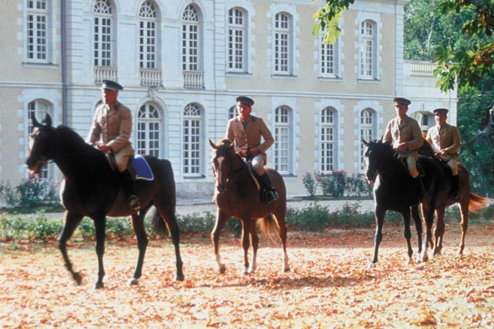 Découvrir le Haras du Lion d’Angers