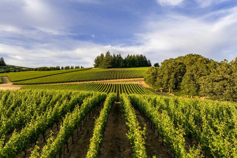 Fluss, Wein und außergewöhnliche Städte