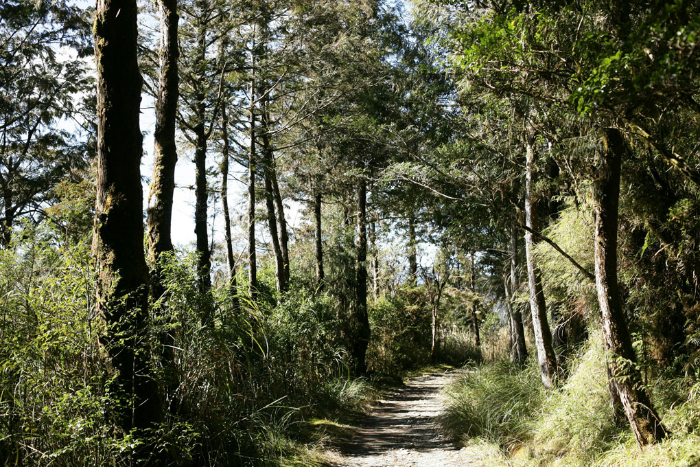 Naturschutzgebiet Bois du Parc