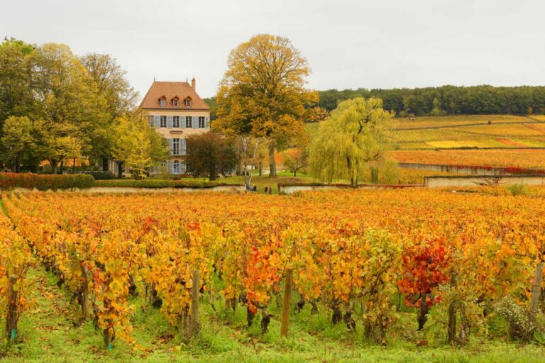 Weinberge und Fachwerkhäuser