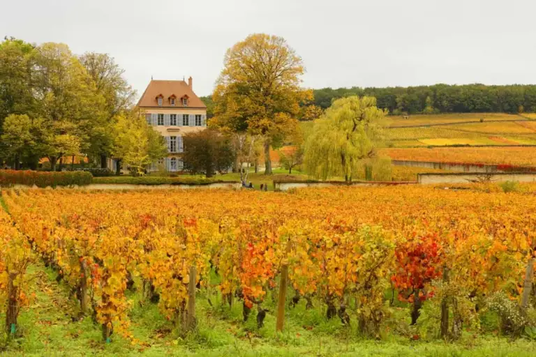 Weinberge und Fachwerkhäuser