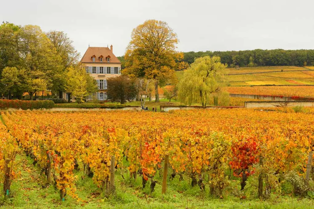 Weinberge und Fachwerkhäuser