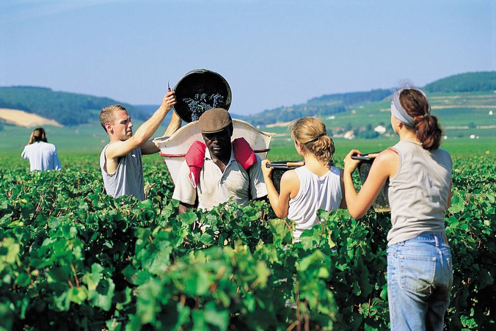 Escapade historique en Bourgogne gallery image