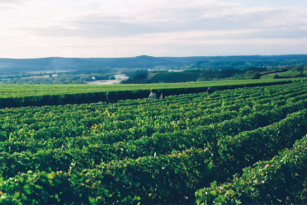Pouilly-sur-Loire entdecken