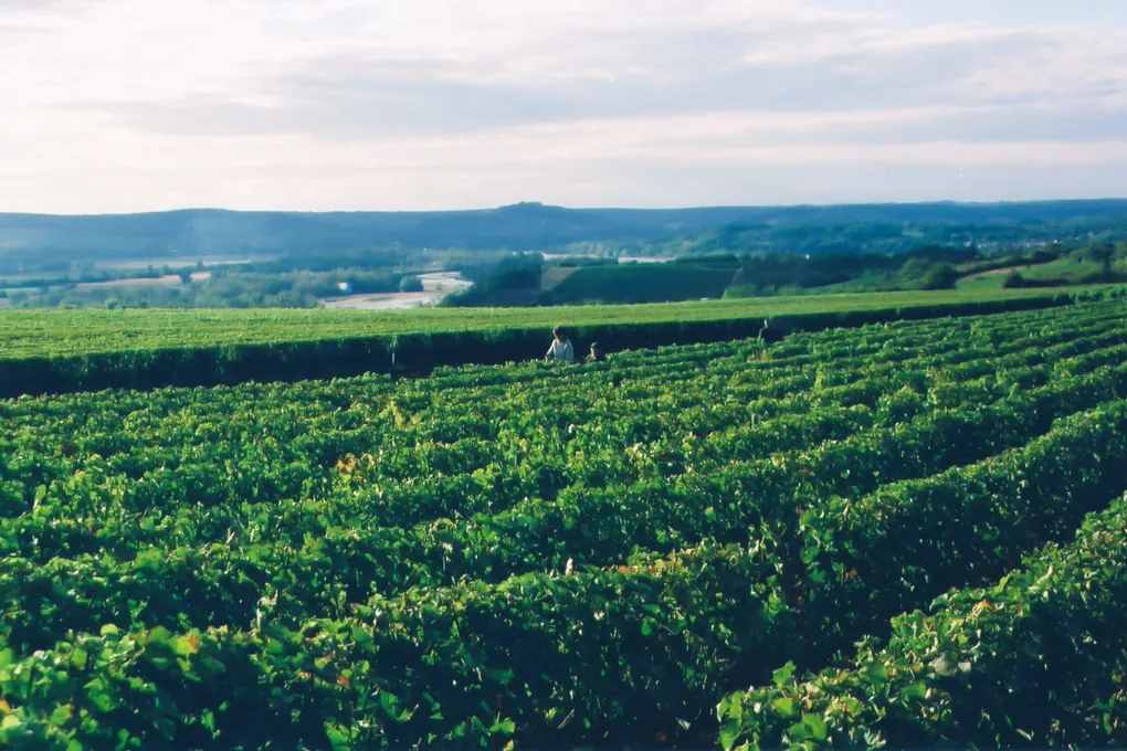 Explorer Pouilly-sur-Loire