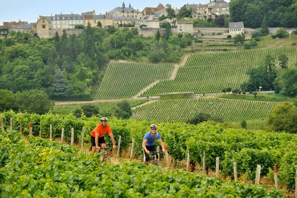 Sancerre