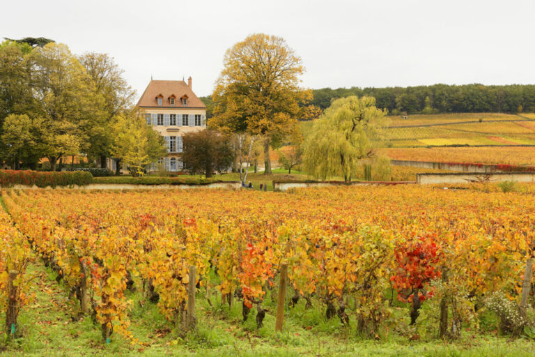 Kulinarischer Spaziergang