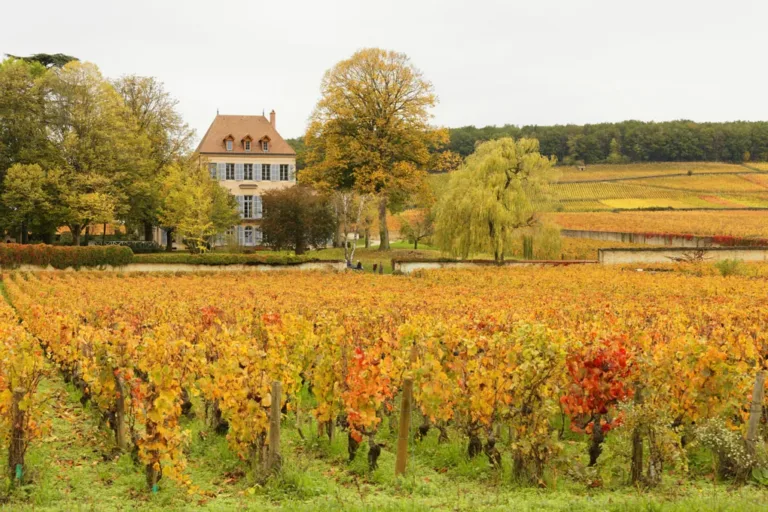 Kulinarischer Spaziergang