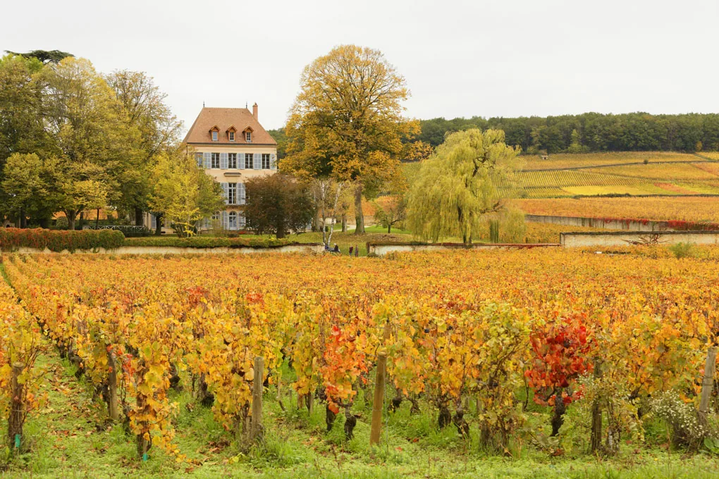 Kulinarischer Spaziergang
