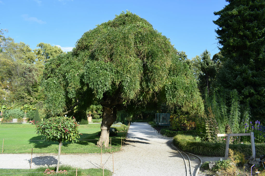 Von der Fee Viviane zum Schloss der Herzöge gallery image