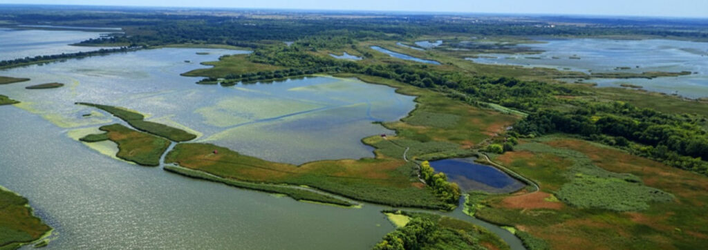 Tisza