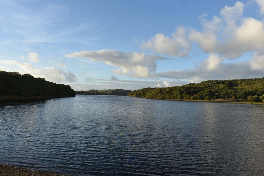Mystery and Irish Nature gallery image