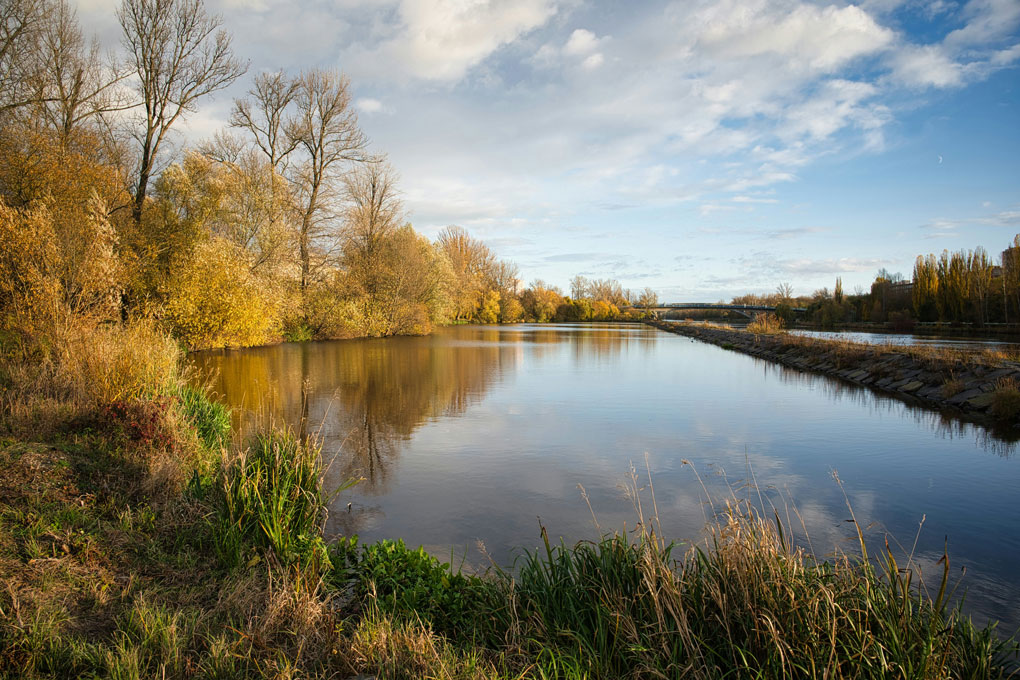 Geheimnisse und irische Natur gallery image